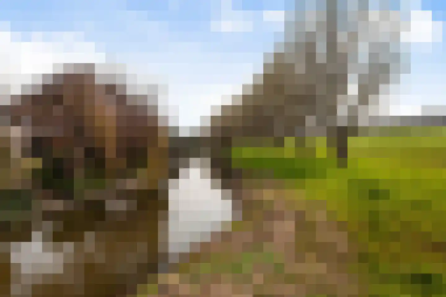 Nicolaas Beetsstraat 6 Papendrecht thumbnail 41