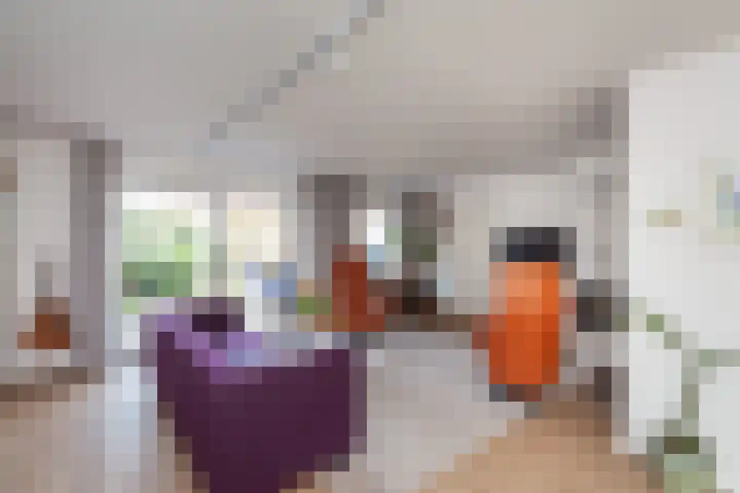 Nicolaas Beetsstraat 6 Papendrecht thumbnail 7