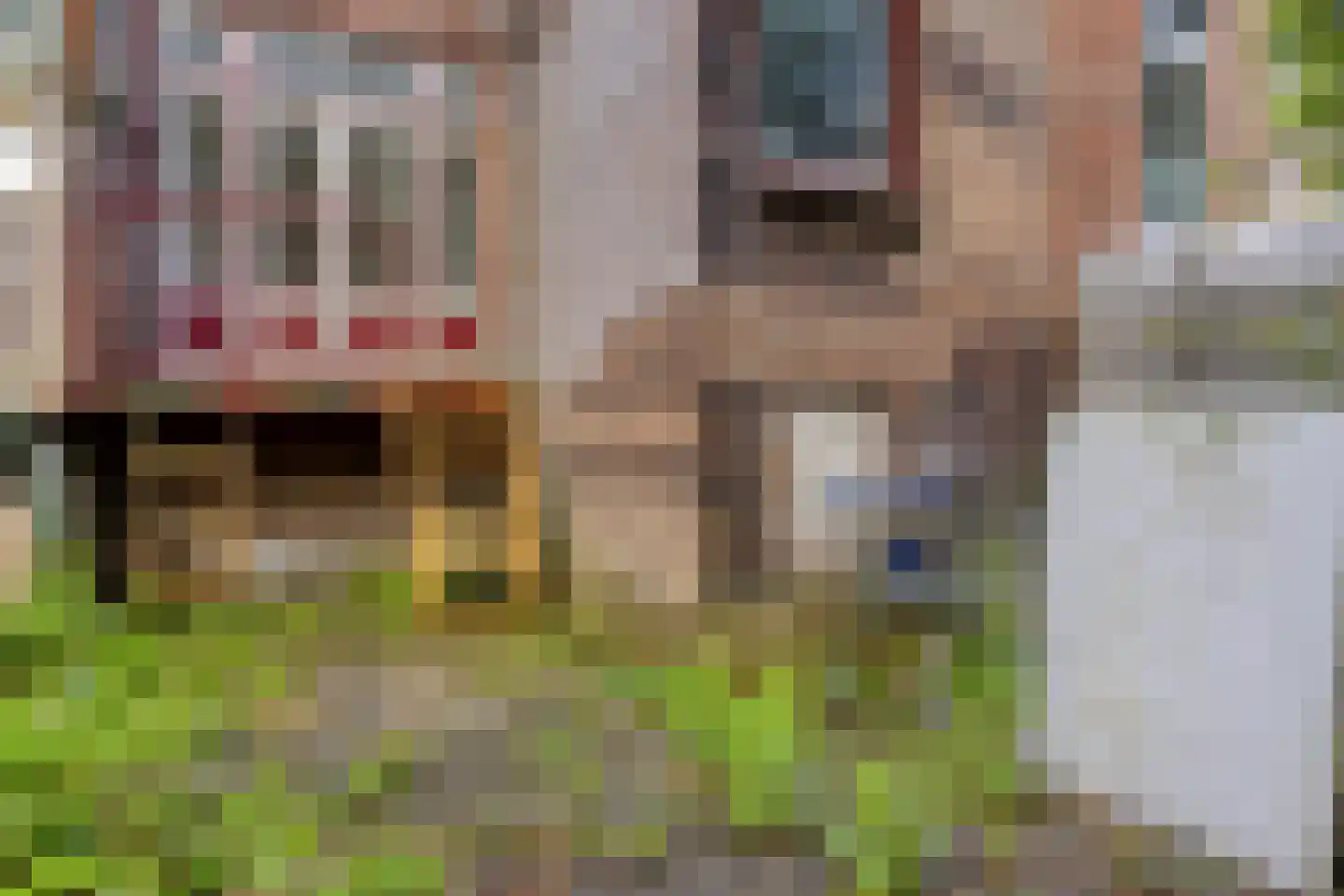 Nicolaas Beetsstraat 68 Schiedam thumbnail 44