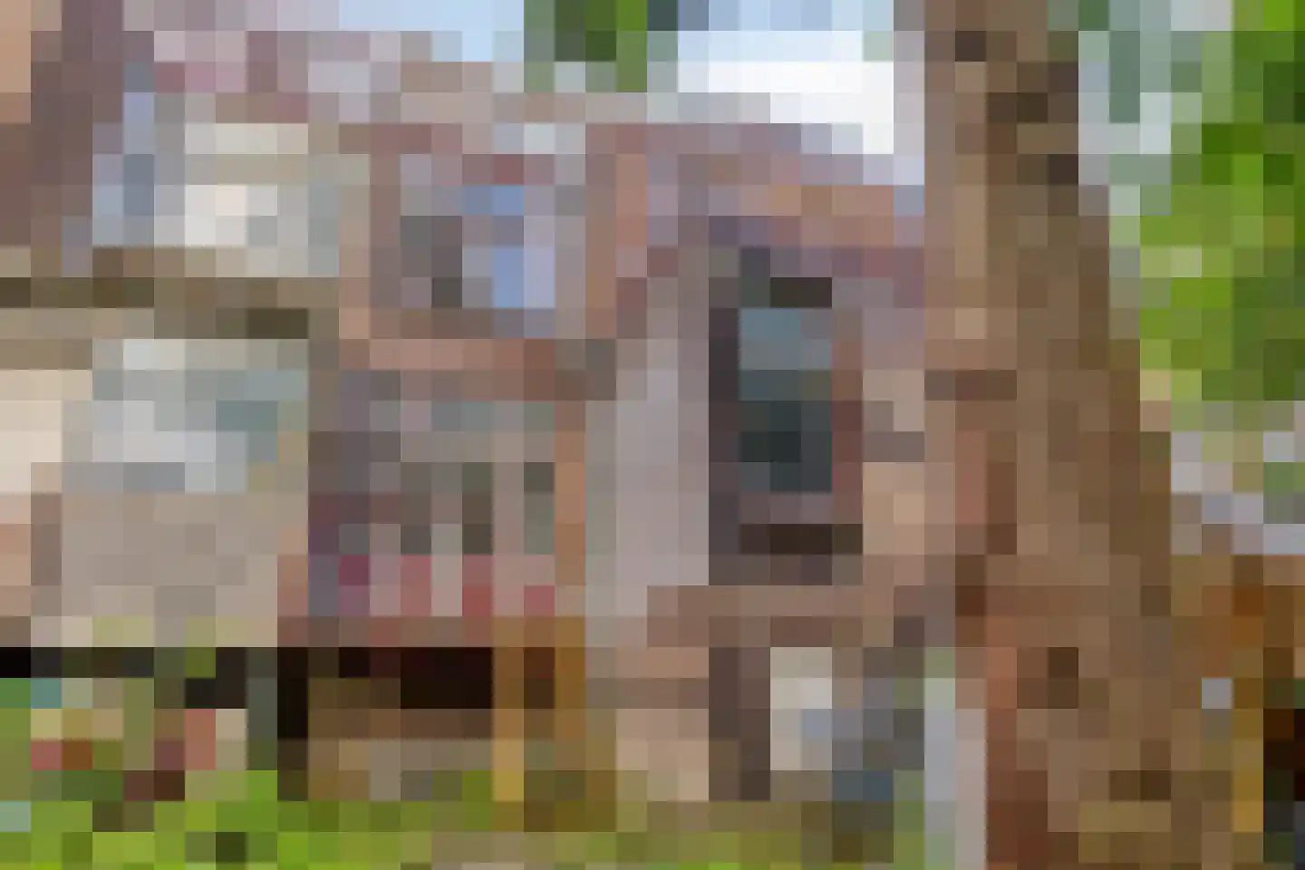 Nicolaas Beetsstraat 68 Schiedam thumbnail 45