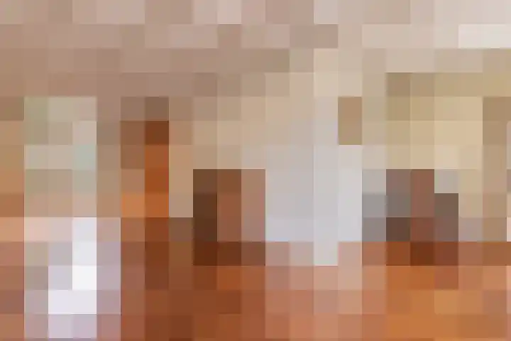 Nicolaas Beetsstraat 7 Arnhem thumbnail 12