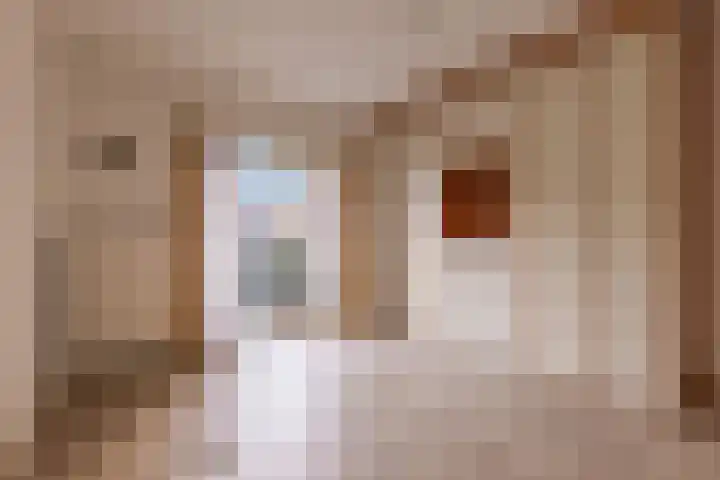 Nicolaas Beetsstraat 7 Arnhem thumbnail 22