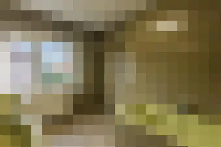 Nicolaas Beetsstraat 7 Arnhem thumbnail 25