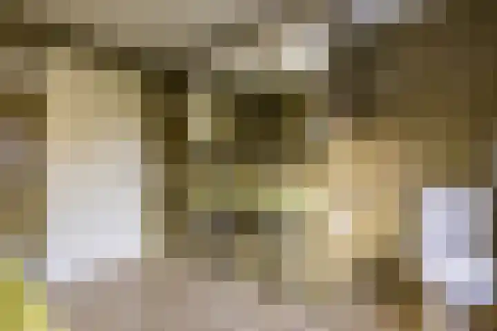 Nicolaas Beetsstraat 7 Arnhem thumbnail 26