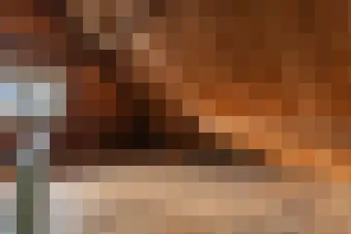 Nicolaas Beetsstraat 7 Arnhem thumbnail 29