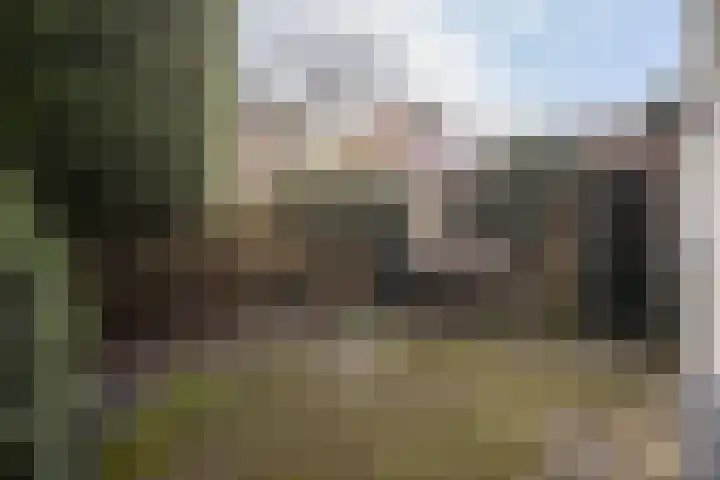 Nicolaas Beetsstraat 7 Arnhem thumbnail 33