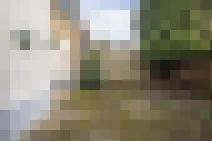 Nicolaas Beetsstraat 7 Arnhem thumbnail 36