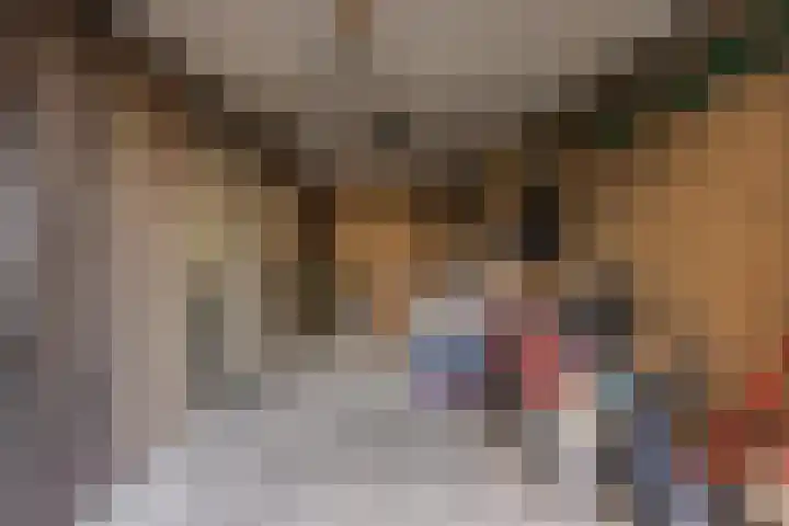 Nicolaas Beetsstraat 7 Arnhem thumbnail 38