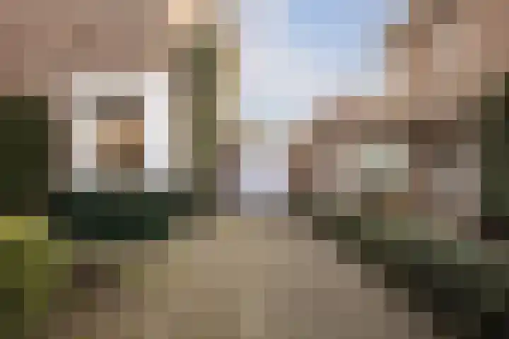 Nicolaas Beetsstraat 7 Arnhem thumbnail 4