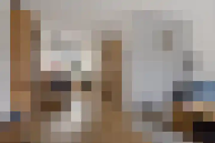 Nicolaas Beetsstraat 7 Hengelo thumbnail 11