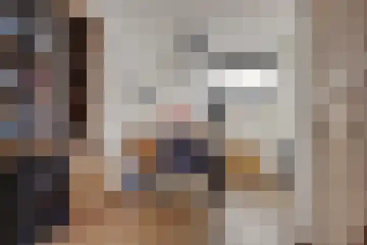 Nicolaas Beetsstraat 7 Hengelo thumbnail 12