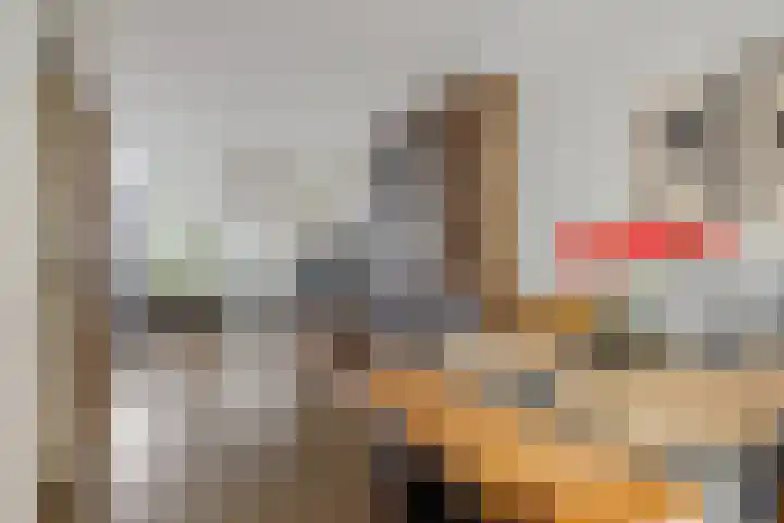 Nicolaas Beetsstraat 7 Hengelo thumbnail 14