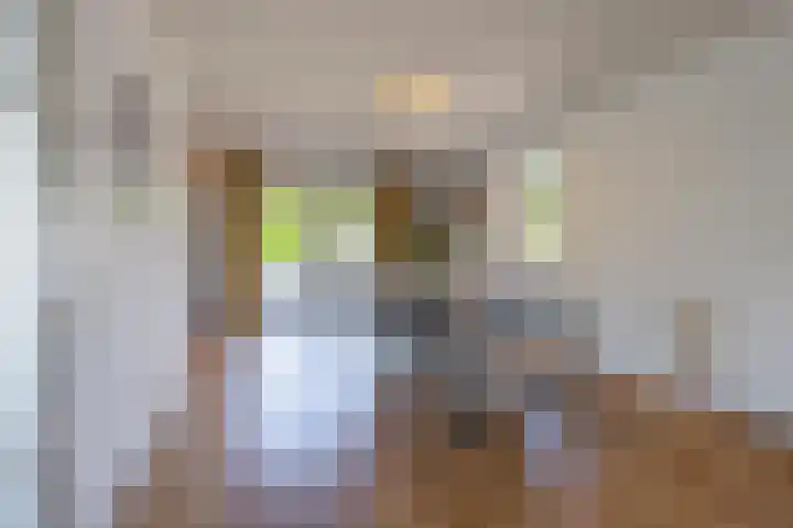 Nicolaas Beetsstraat 75 Tiel thumbnail 26
