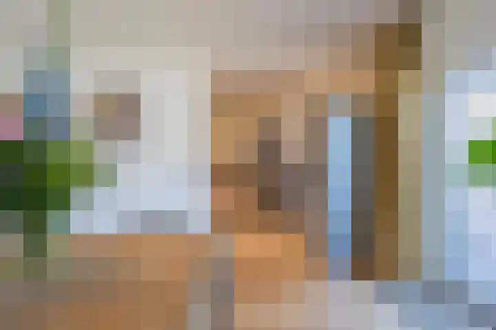 Nicolaas Beetsstraat 75 Tiel thumbnail 29
