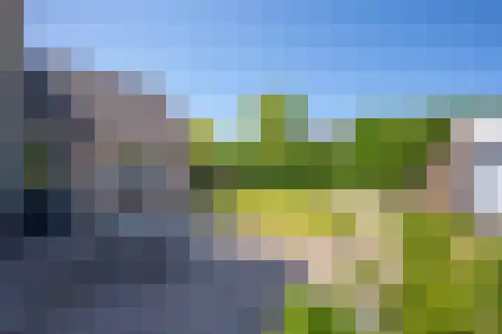 Nicolaas Beetsstraat 75 Tiel thumbnail 4