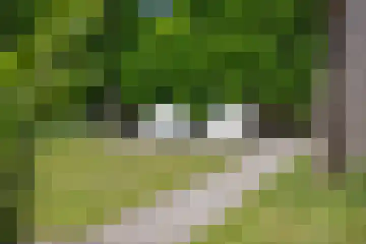 Nicolaas Beetsstraat 75 Tiel thumbnail 43