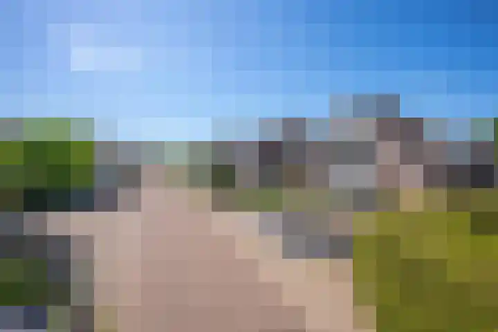 Nicolaas Beetsstraat 75 Tiel thumbnail 5