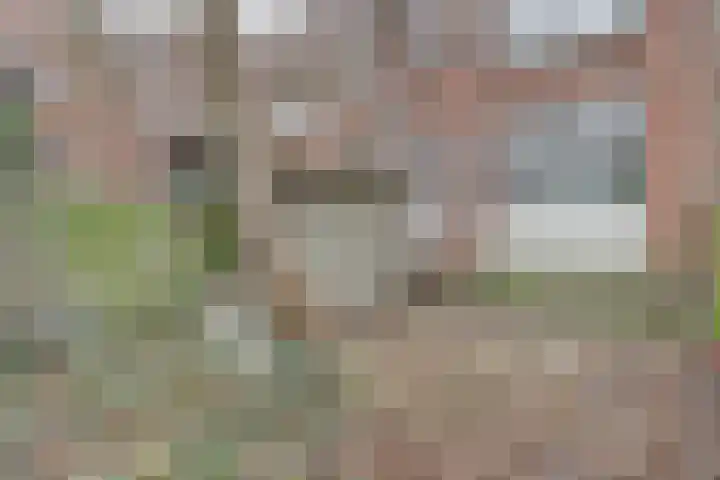 Nicolaas Beetsstraat 8 A Schiedam thumbnail 13