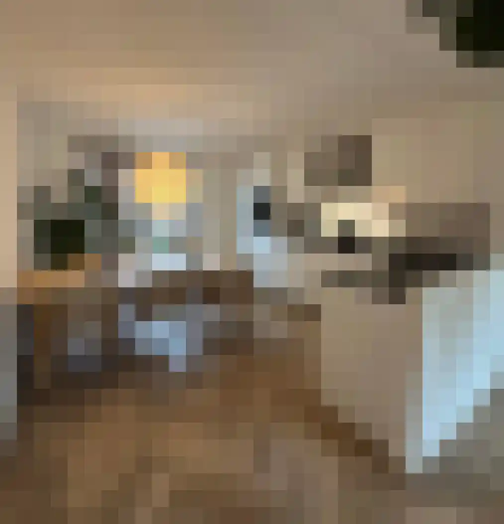 Nicolaas Beetsstraat 83 Groningen thumbnail 4