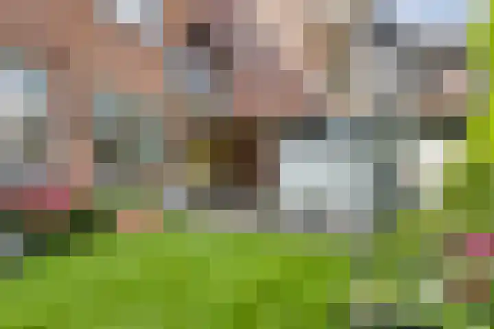 Nicolaas Beetsstraat 9 Haarlem thumbnail 20