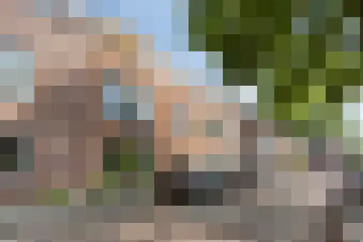 Nicolaas Beetsstraat 9 Haarlem thumbnail 26