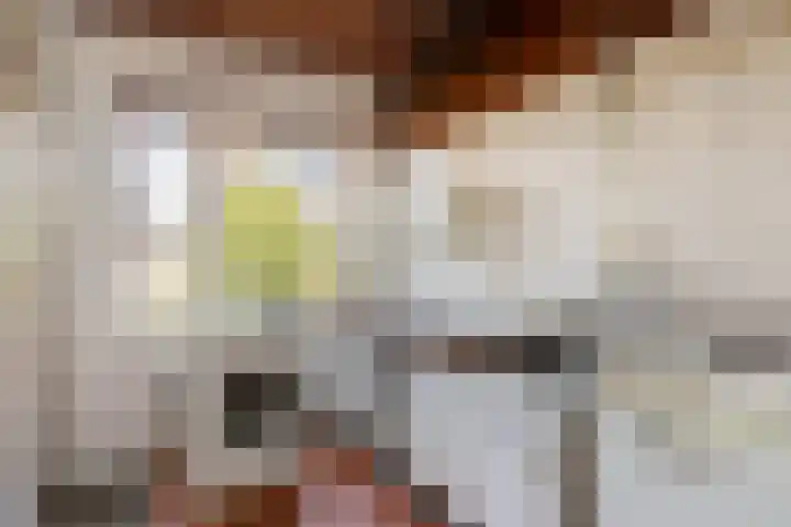 Nicolaas Beetsstraat 9 Haarlem thumbnail 8