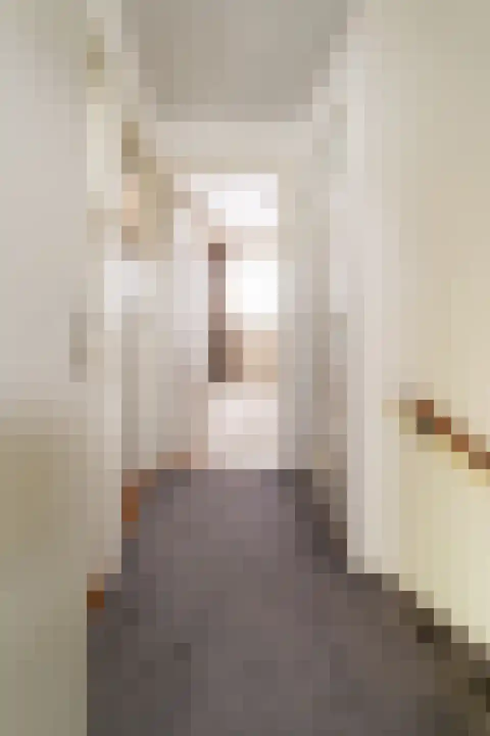 Nicolaas Beetsstraat 9 Zevenaar thumbnail 25