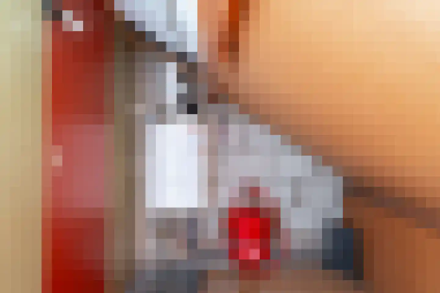Nicolaas Beetsstraat 9 Zevenaar thumbnail 36