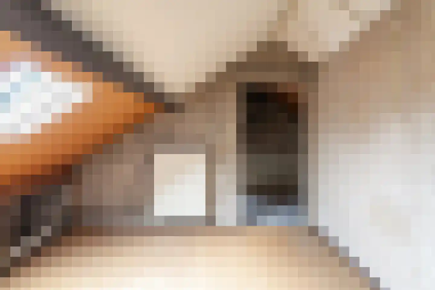 Nicolaas Beetsstraat 9 Zevenaar thumbnail 38