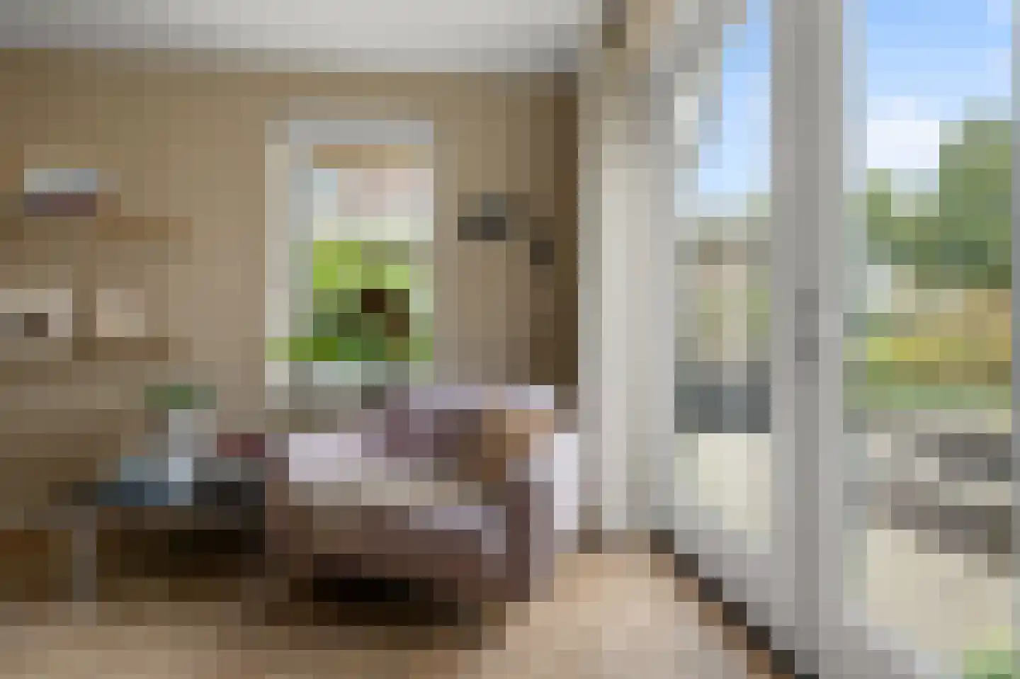 Nicolaas Blokkerlaan 15 Heiloo thumbnail 10