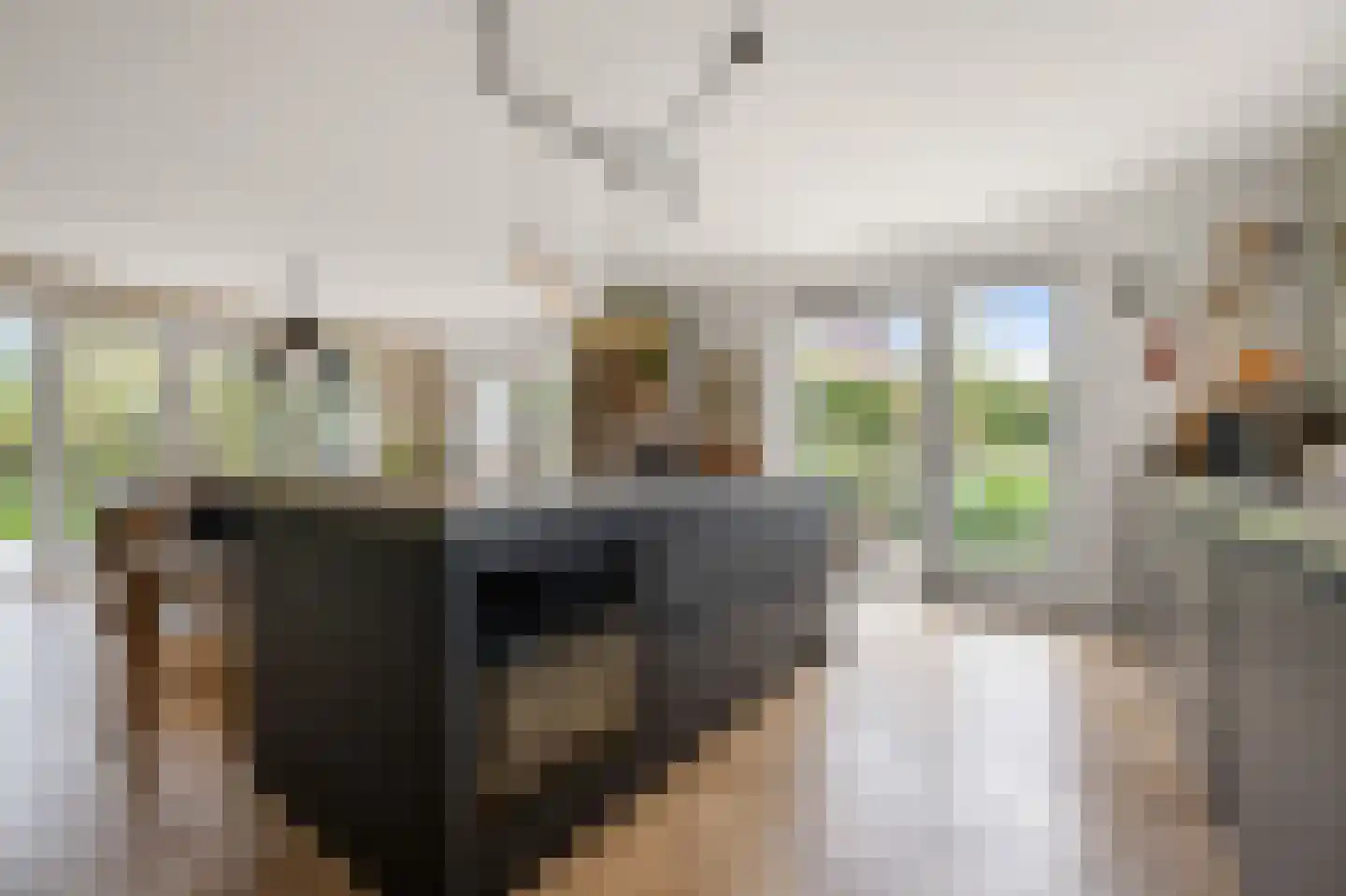 Nicolaas Blokkerlaan 15 Heiloo thumbnail 17