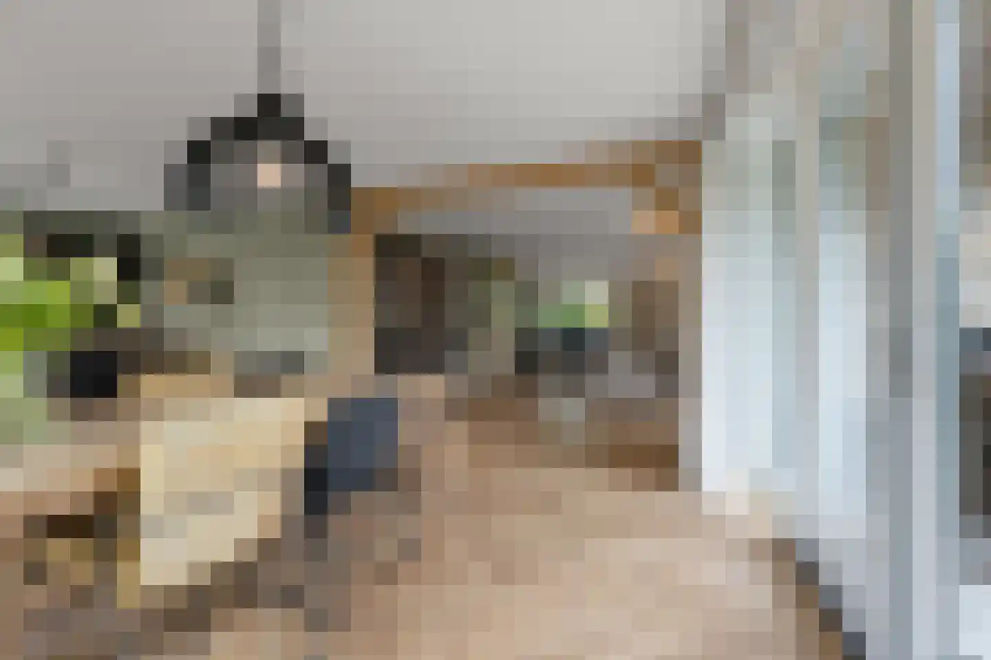 Nicolaas Blokkerlaan 15 Heiloo thumbnail 19