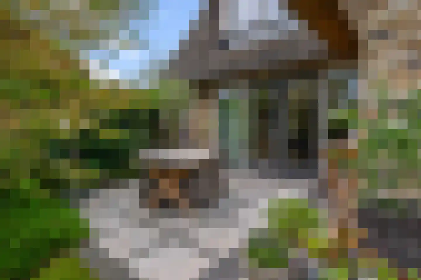 Nicolaas Blokkerlaan 15 Heiloo thumbnail 51