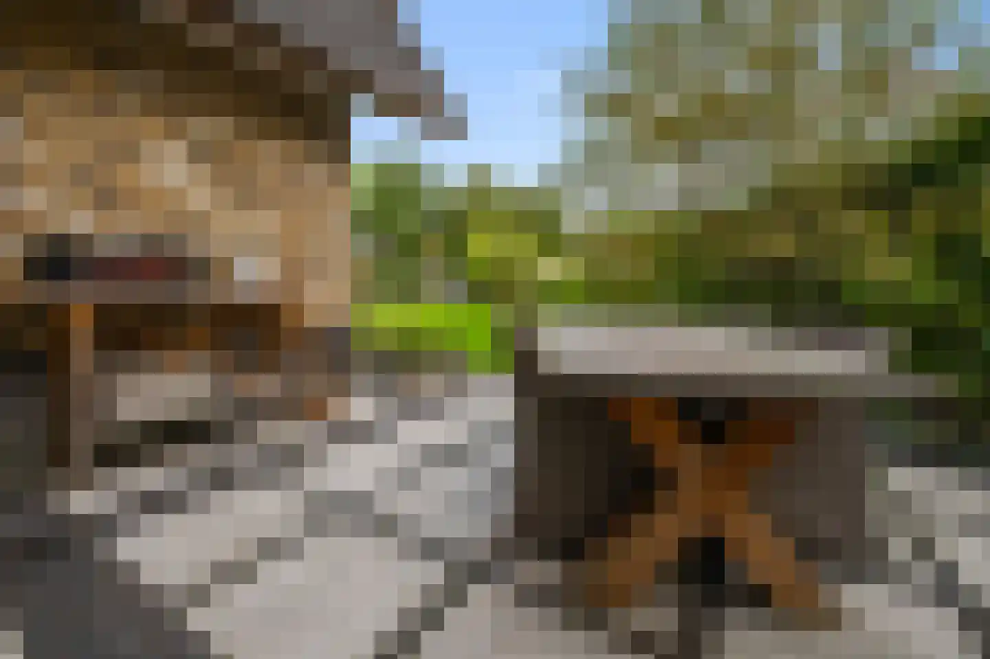 Nicolaas Blokkerlaan 15 Heiloo thumbnail 57