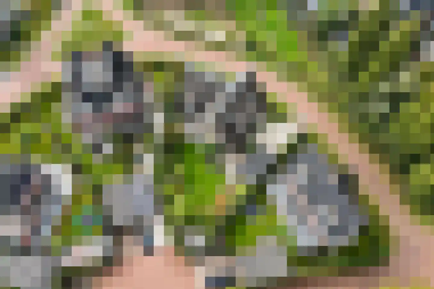 Nicolaas Blokkerlaan 15 Heiloo thumbnail 8