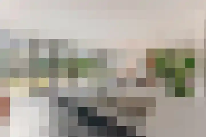 Nicolaas Blokkerlaan 6 Heiloo thumbnail 12