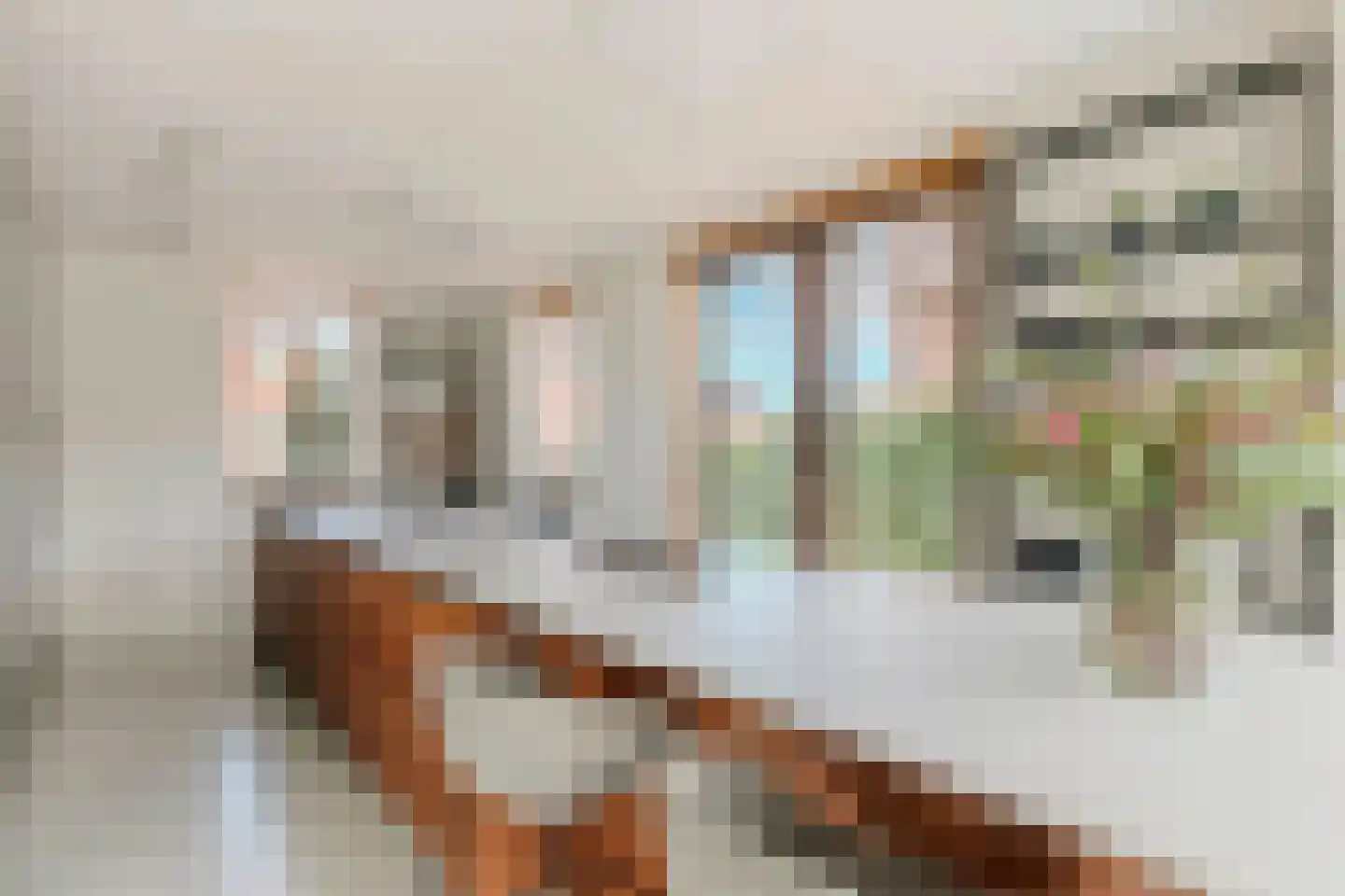 Nicolaas Blokkerlaan 6 Heiloo thumbnail 14