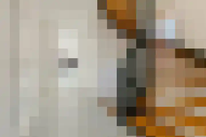 Nicolaas Blokkerlaan 6 Heiloo thumbnail 32