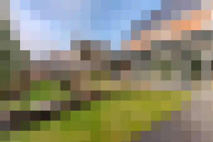 Nicolaas Blokkerlaan 6 Heiloo thumbnail 45