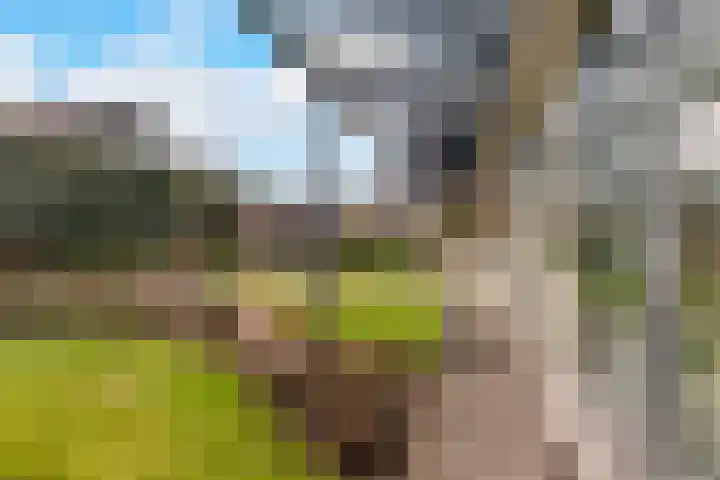 Nicolaas Blokkerlaan 6 Heiloo thumbnail 47