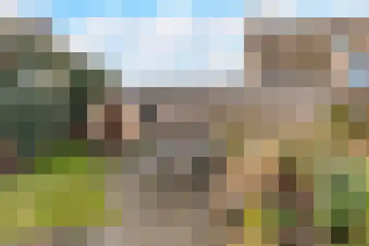 Nicolaas Blokkerlaan 6 Heiloo thumbnail 52