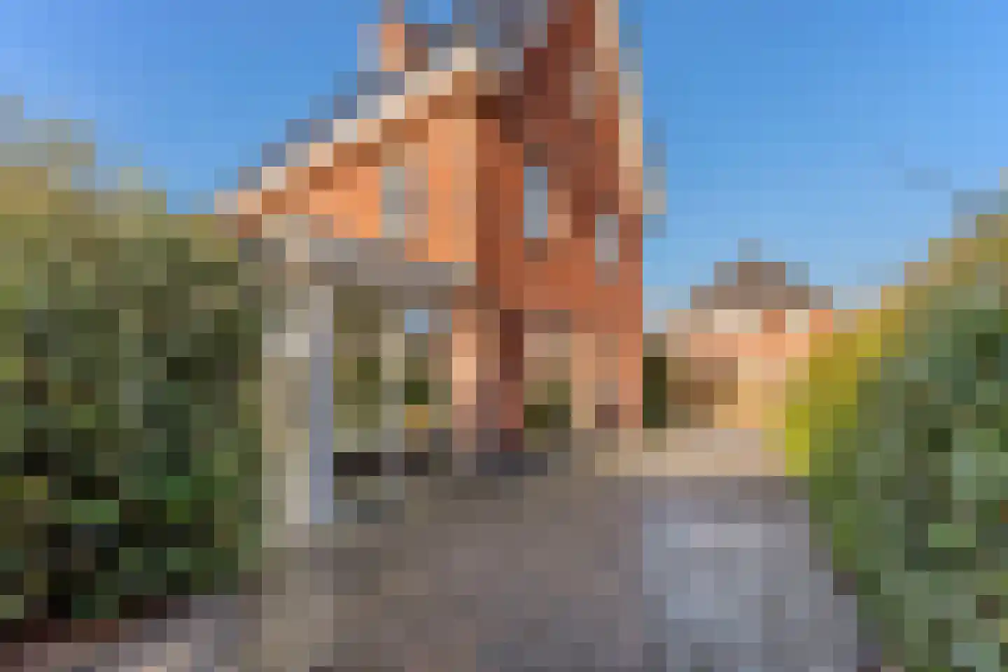 Nicolaas Blokkerlaan 6 Heiloo thumbnail 54
