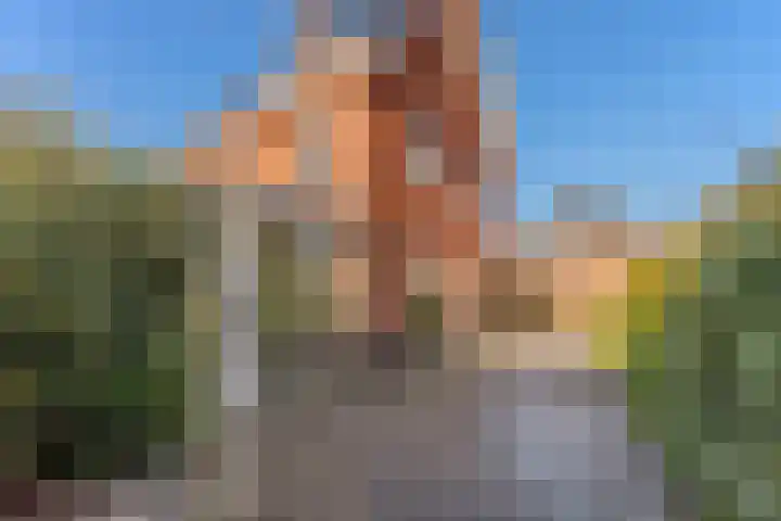 Nicolaas Blokkerlaan 6 Heiloo thumbnail 54