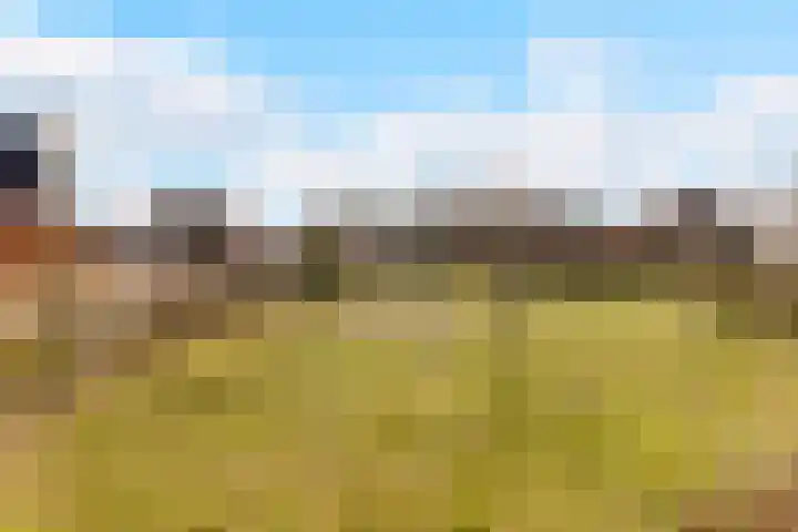 Nicolaas Blokkerlaan 6 Heiloo thumbnail 58