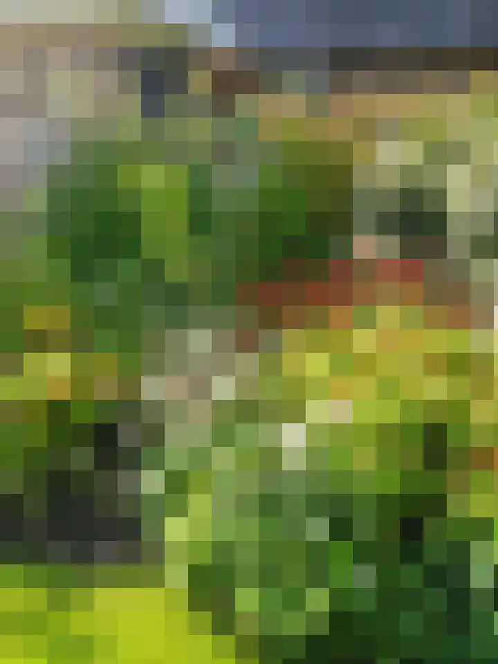 Nicolaas Blokkerlaan 6 Heiloo thumbnail 59