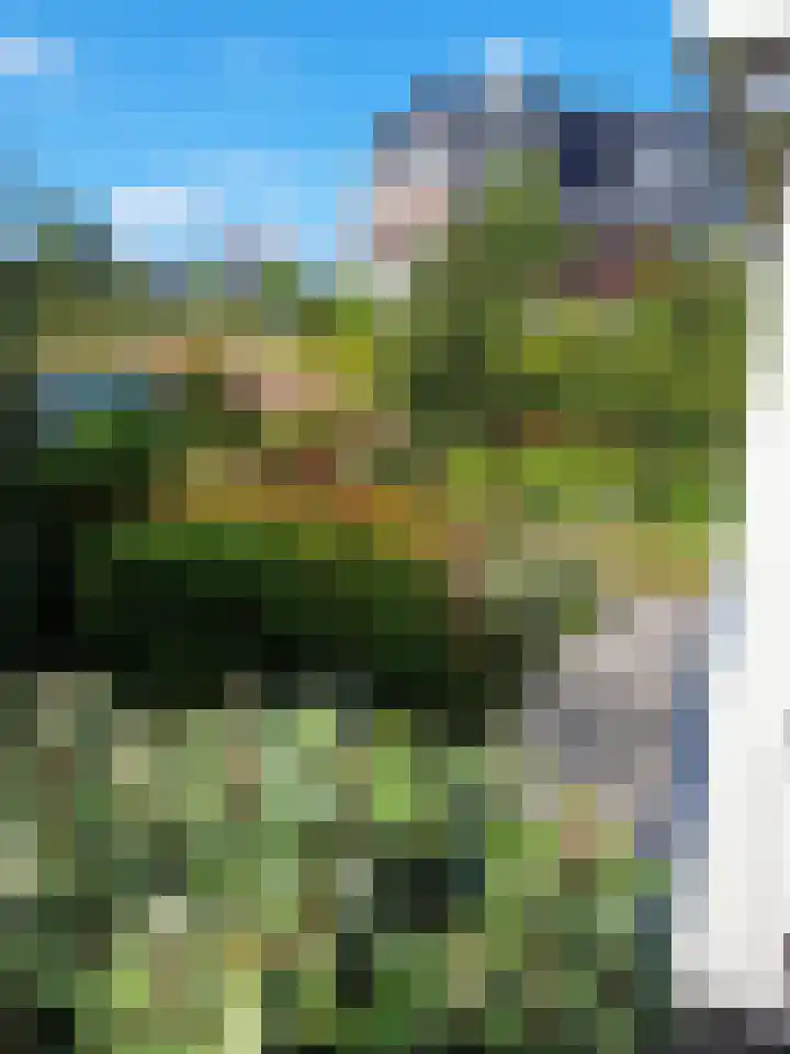 Nicolaas Blokkerlaan 6 Heiloo thumbnail 60