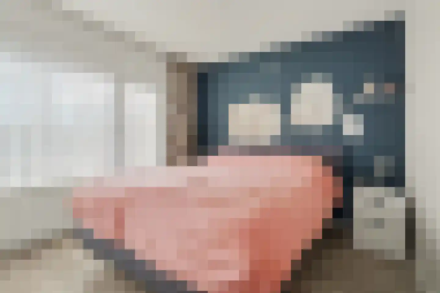 Nicolaas Busiusstraat 2 Hilvarenbeek thumbnail 17