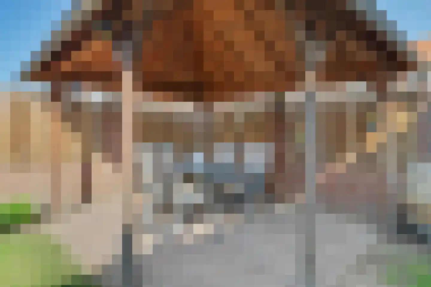 Nicolaas Busiusstraat 2 Hilvarenbeek thumbnail 26