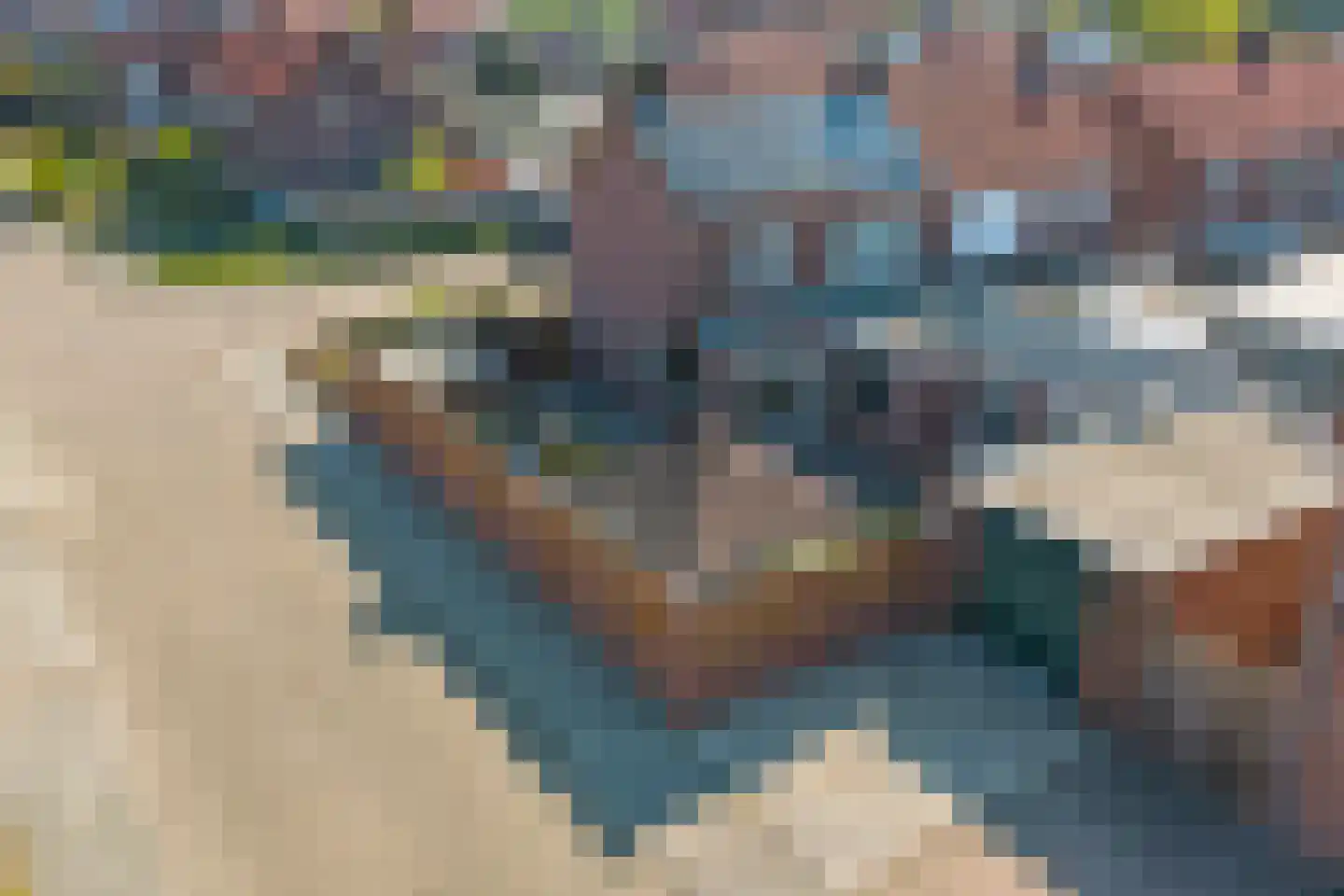Nicolaas Busiusstraat 2 Hilvarenbeek thumbnail 33