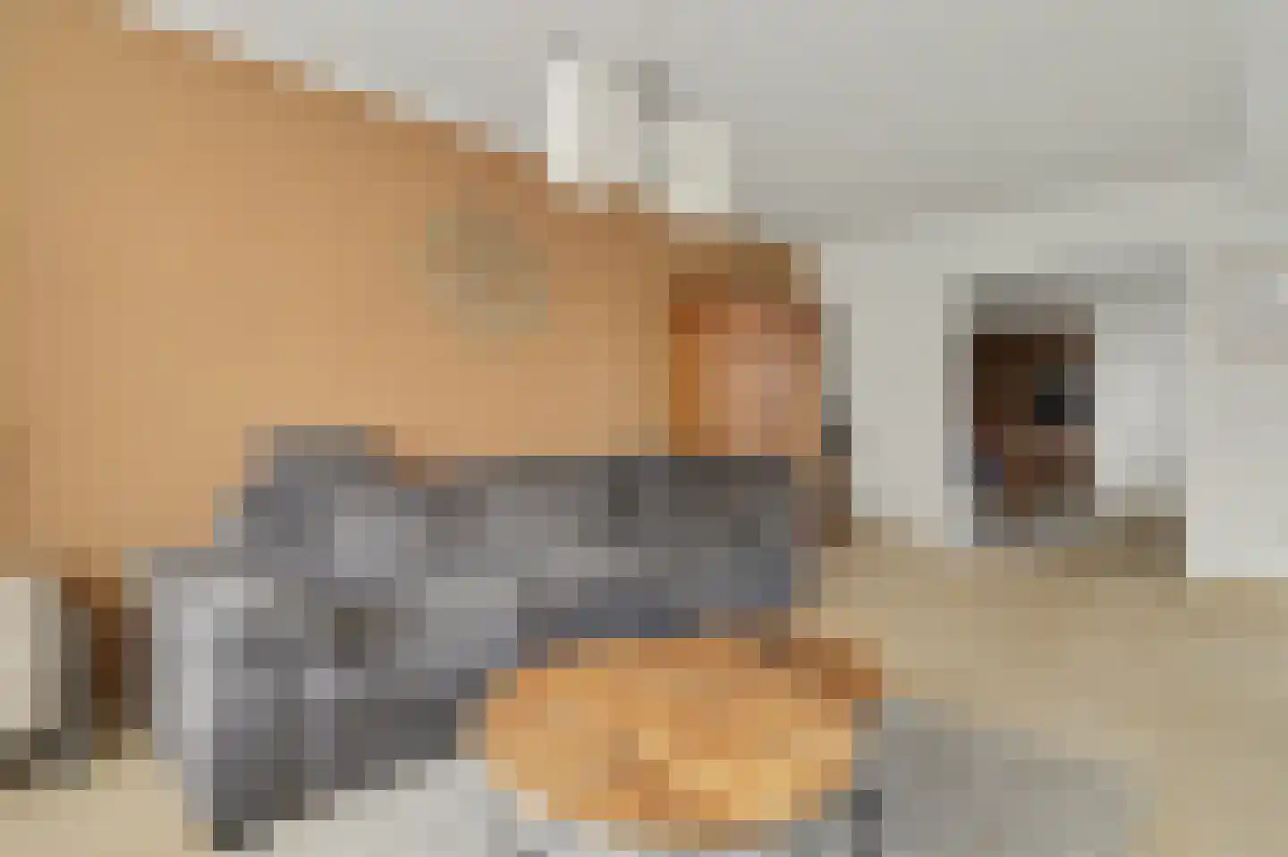 Nicolaas Busiusstraat 2 Hilvarenbeek thumbnail 6